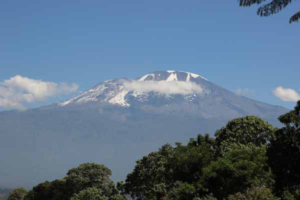 Från vår trädgård ser vi Kilimanjaros snöklädda topp