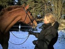 Häst och Theresia Henriksson