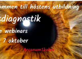 Välkommen till utbildning i irisdiagnostik